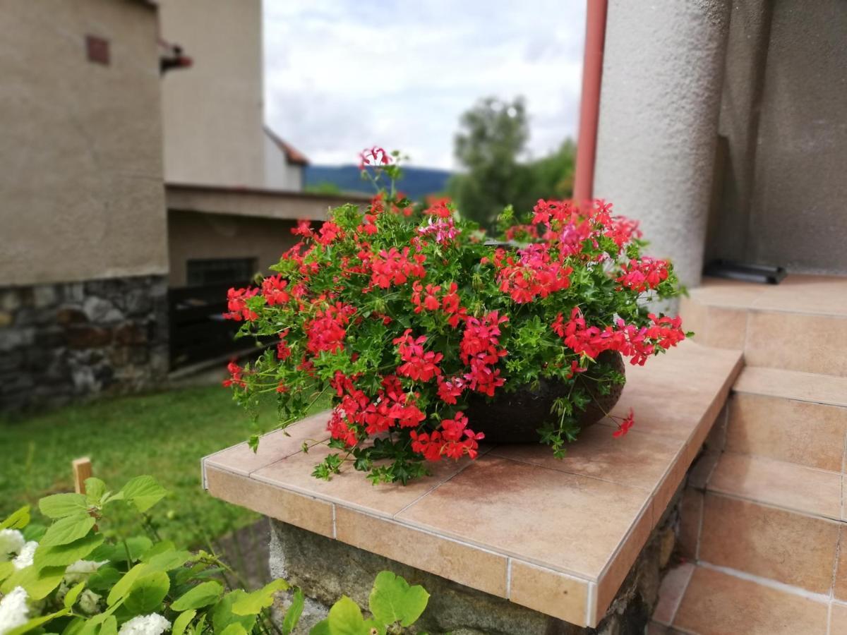 Villa Oliva Czeski Krumlow Zewnętrze zdjęcie