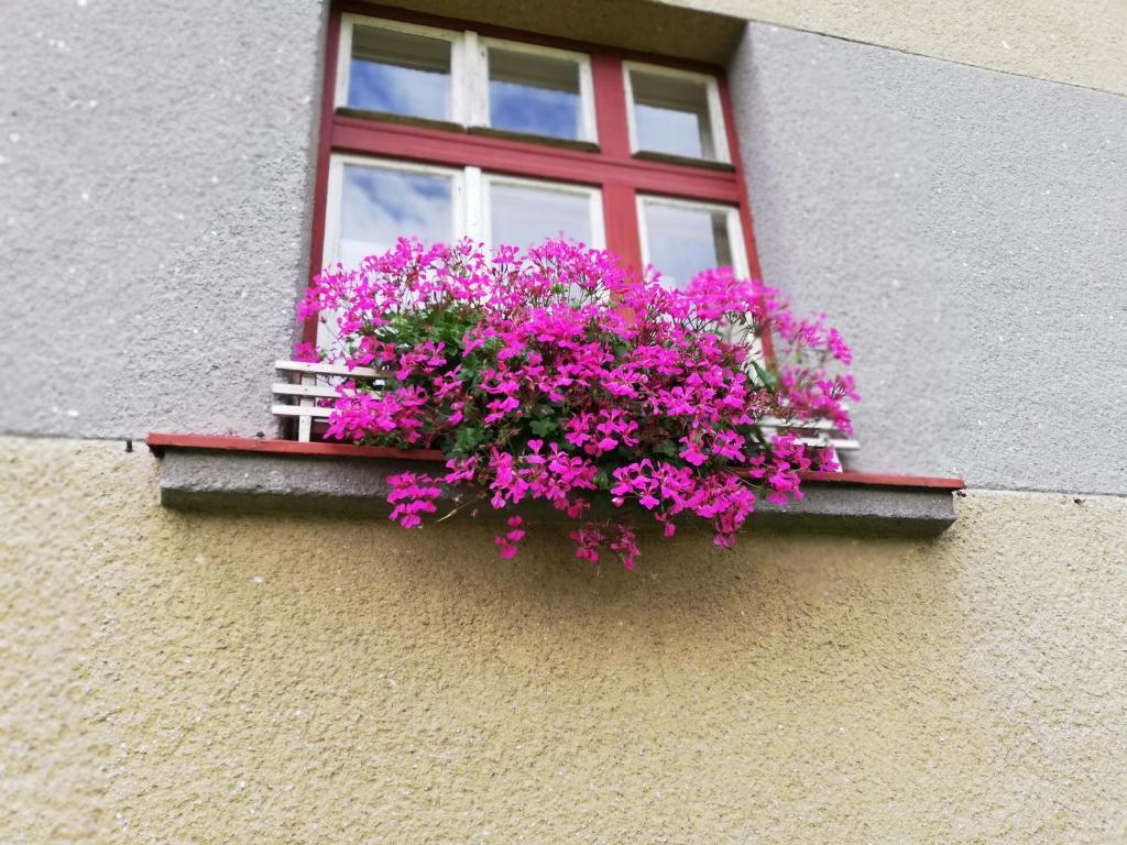 Villa Oliva Czeski Krumlow Zewnętrze zdjęcie